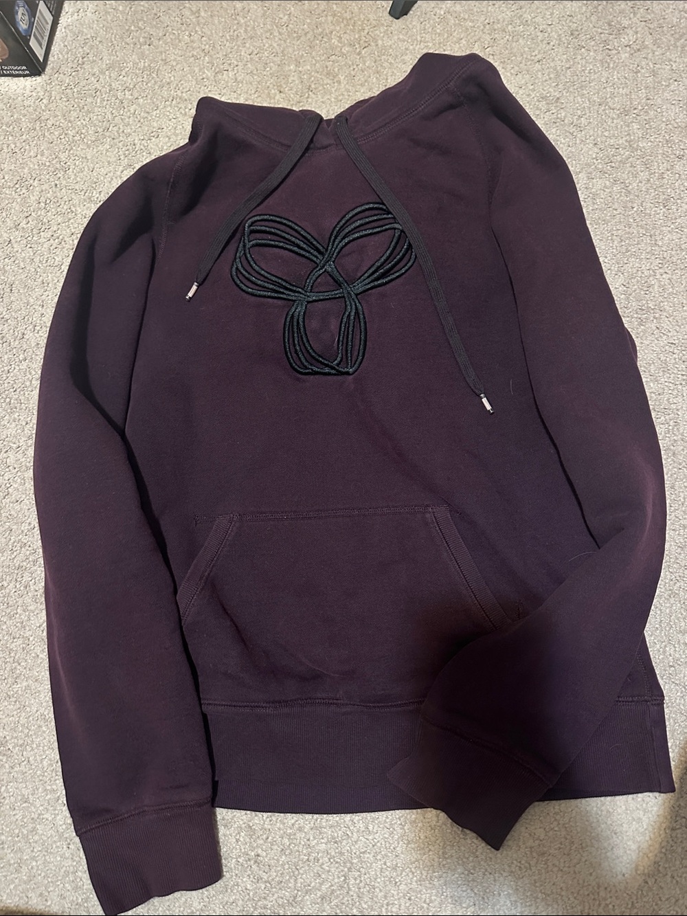Aritzia TNA Baltic Hoodie